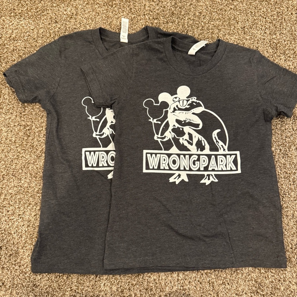 Boys Disney World-Jurassic Park-Wrong Park Gray Kids T-Shirt-Size Small & Medium